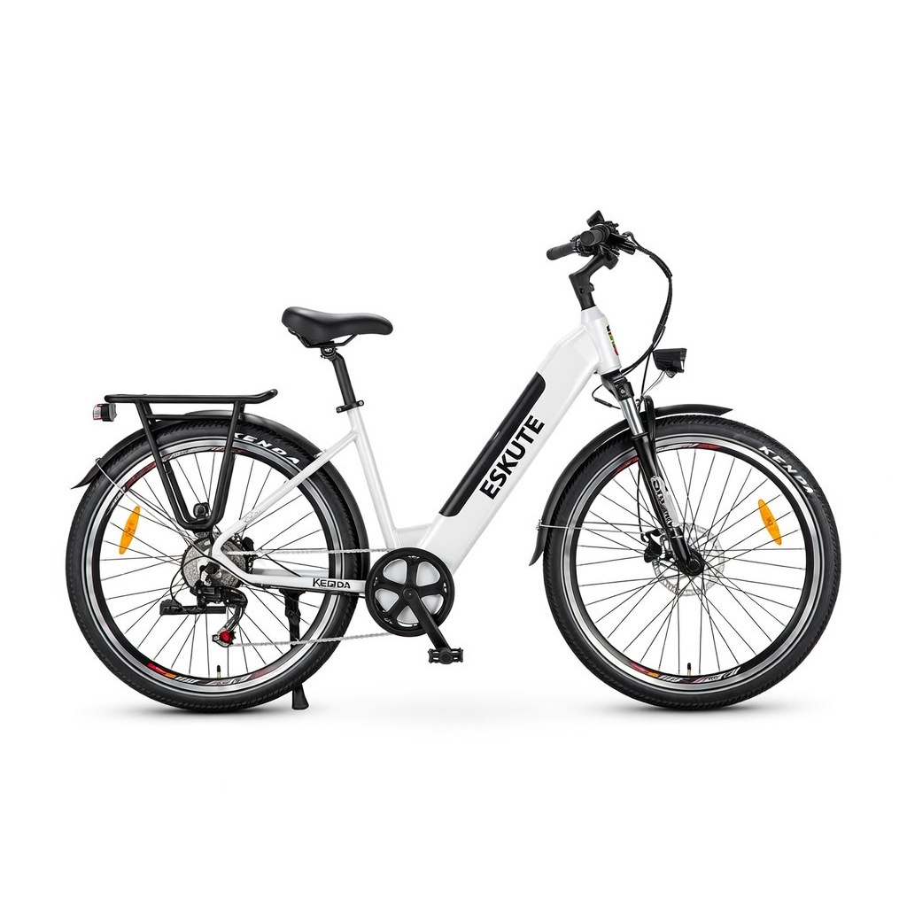 Eskute Polluno Pro Commuter Electric Bike – photo 2